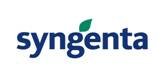 Syngenta, business delle sementi lattuga